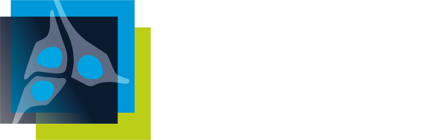nfdi4bioimage